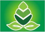 Phân bón lá vi lượng (Combi)