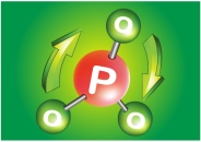 Phân bón lá Phosphite (Lưu dẫn 2 chiều)