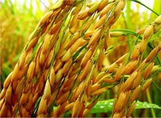 Về chúng tôi