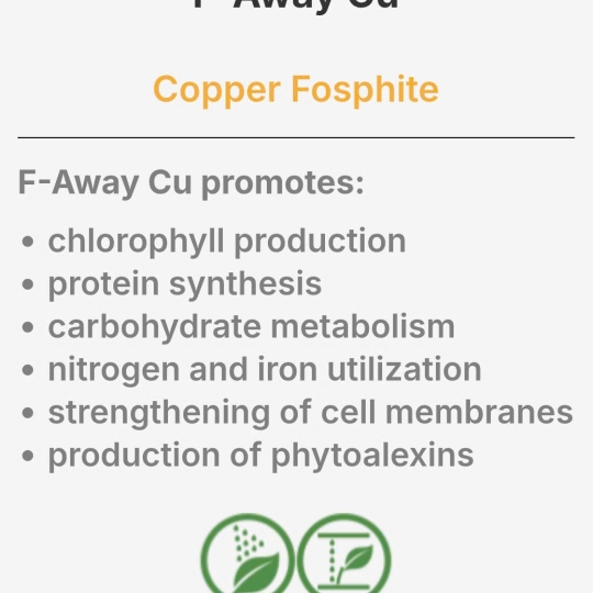 SP MỚI PHÂN BÓN PHOSPHITE Cu (10%N+22%P2O5+4%Cu) Hy Lạp
