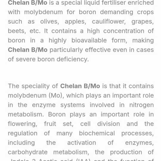SP MỚI PHÂN BÓN LÁ - CHELAN B-Mo (11% B + 0,5% Mo ) Hy Lạp