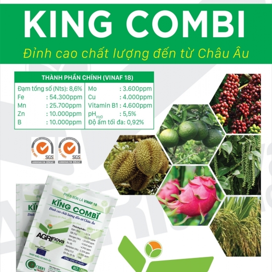 Phân bón lá đạm vi lượng Vinaf 18 (King Combi) 25 G - Spain