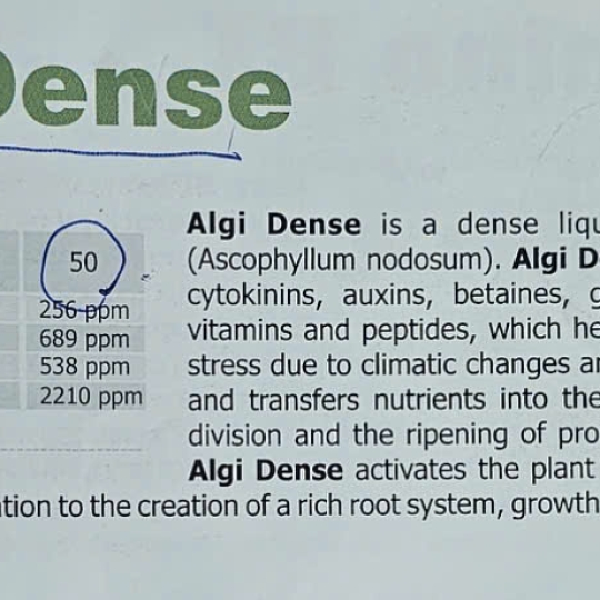 PHÂN BÓN LÁ - Algi Dense -Seaweed Extract (Ascophyllum Nodosum) Vitamins, Amino Acids, Cytokinines 256 ppm, Auxins 689 ppm, Gibberelins 2210 ppm, Betaines 538 ppm - Hy Lạp