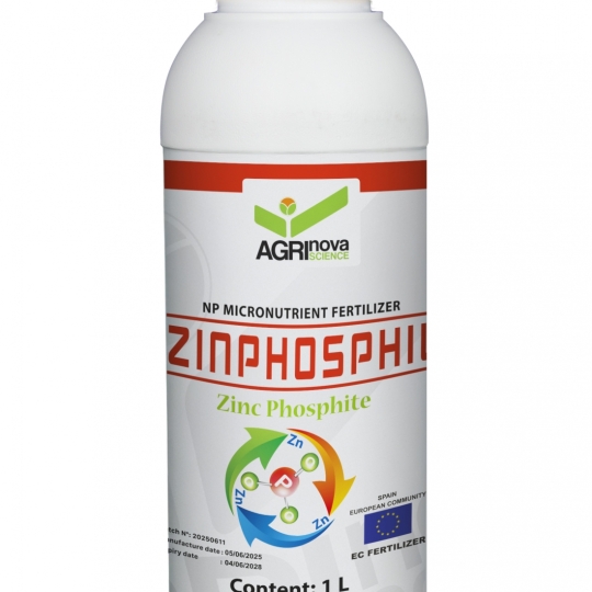 Phân bón NP vi lượng Zinphosphil (1L) - Spain